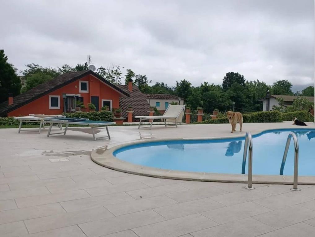Villa Annamaria 카시노 외부 사진